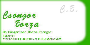 csongor borza business card